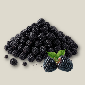 Design sans titre - 13