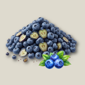 Design sans titre - 14